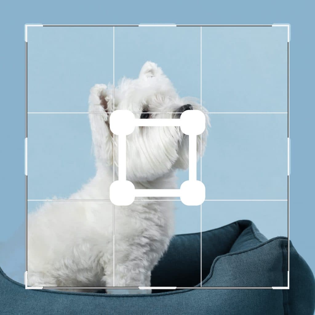 Beskjær, endre størrelse & roter